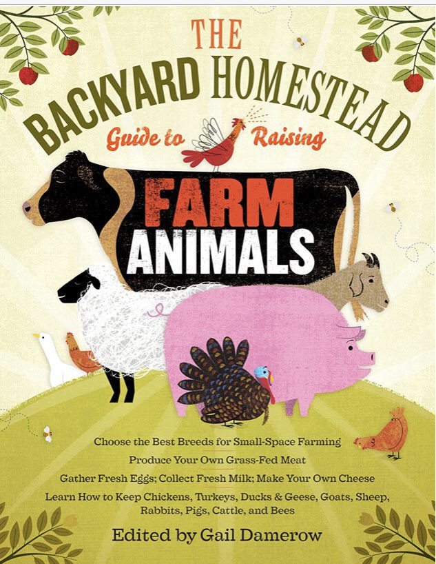 Choosing the Right Pig Breed for your Homestead The Backyard Homestead Guide to Raising Farm Animals