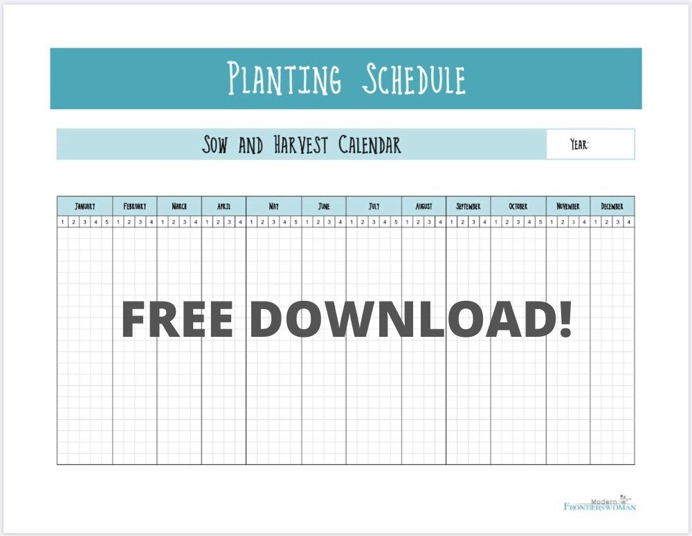 How to Make a Succession Garden Schedule 13 Succession Garden Schedule free printable How to Make a Succession Garden Schedule