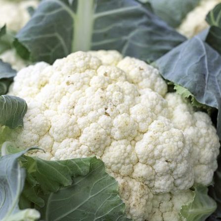 Cauliflower