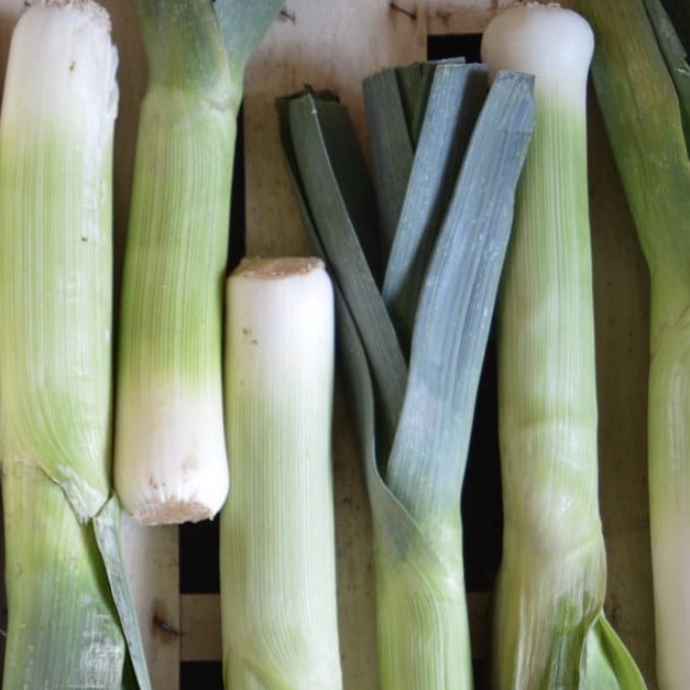 img 2328 Plant Friend or Foe: Companion Planting in the Vegetable Garden