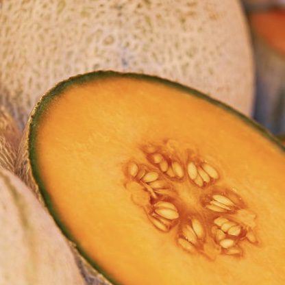 img 2330 Plant Friend or Foe: Companion Planting in the Vegetable Garden