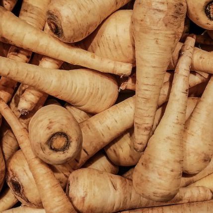 img 2334 Plant Friend or Foe: Companion Planting in the Vegetable Garden