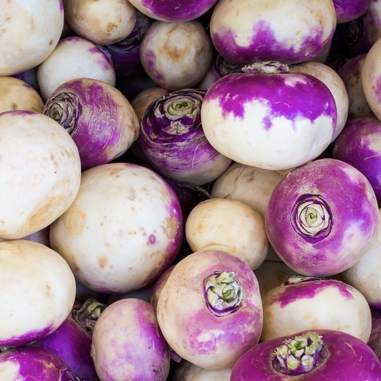 img 2347 Plant Friend or Foe: Companion Planting in the Vegetable Garden