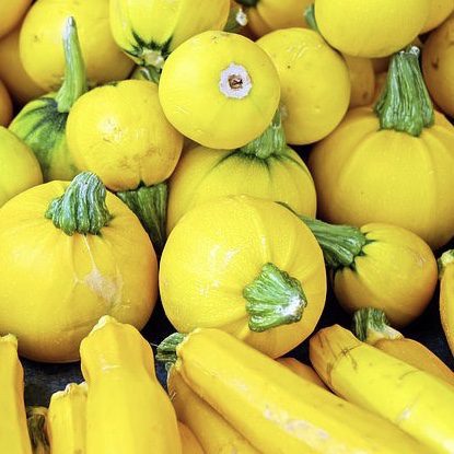 Summer Squash