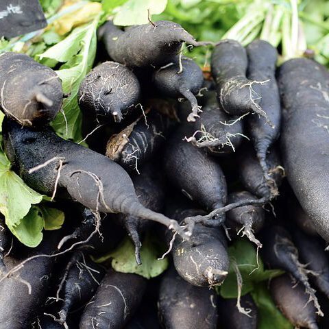 img 2354 Plant Friend or Foe: Companion Planting in the Vegetable Garden