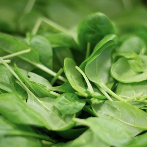 img 2358 Plant Friend or Foe: Companion Planting in the Vegetable Garden