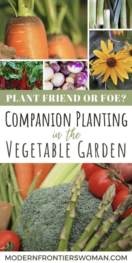 Plant Friend or Foe?