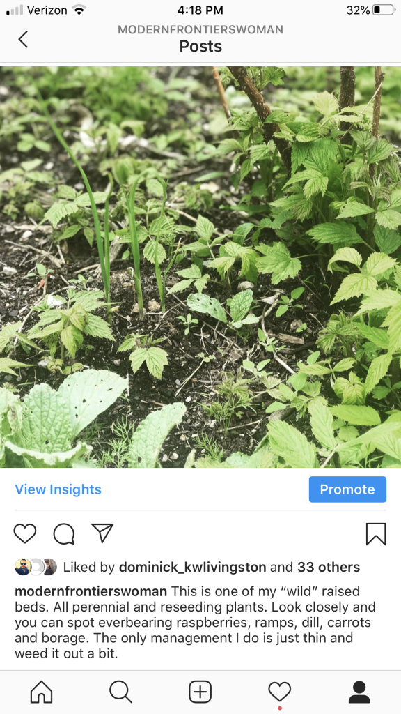 Companion Planting: Cracking the Code 13 Companion Planting: Wild raised beds