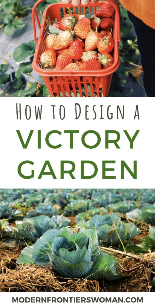Planning a Survival Garden for Food and Medicine How to Design a Victory Garden