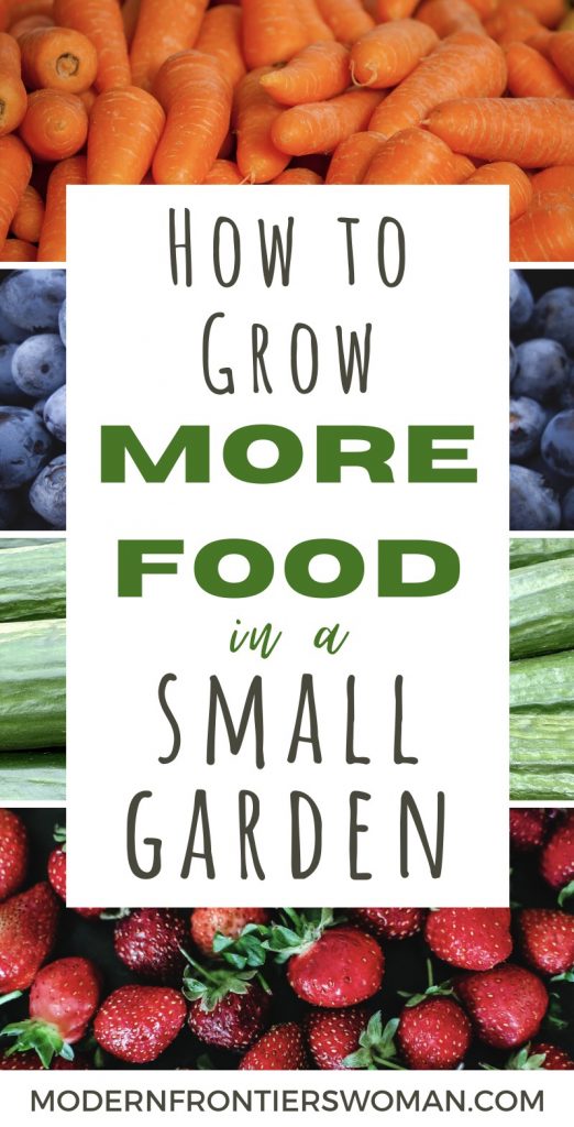 How to Make a Succession Garden Schedule 15 How to grow more food in a small garden succession garden schedule How to Make a Succession Garden Schedule