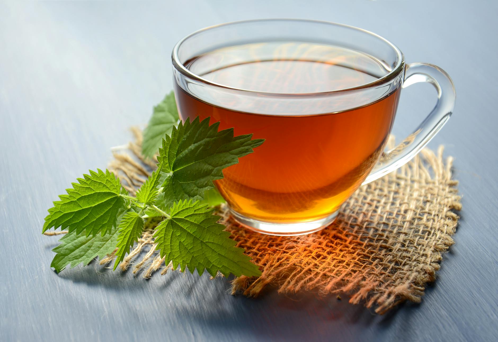 peppermint tea on teacup Happy Tea: Uplifting Herbs for the Winter Blues
