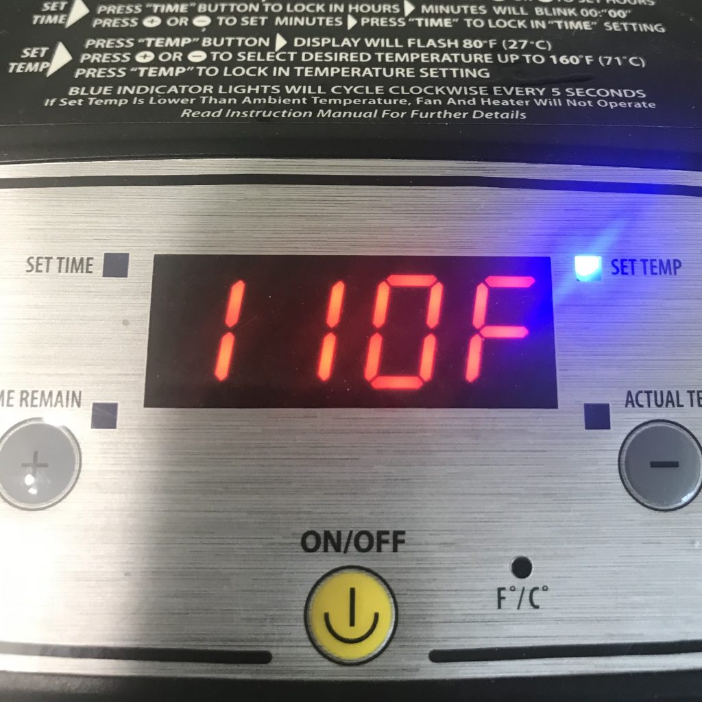 How to Harvest, Dry and Cure Cilantro