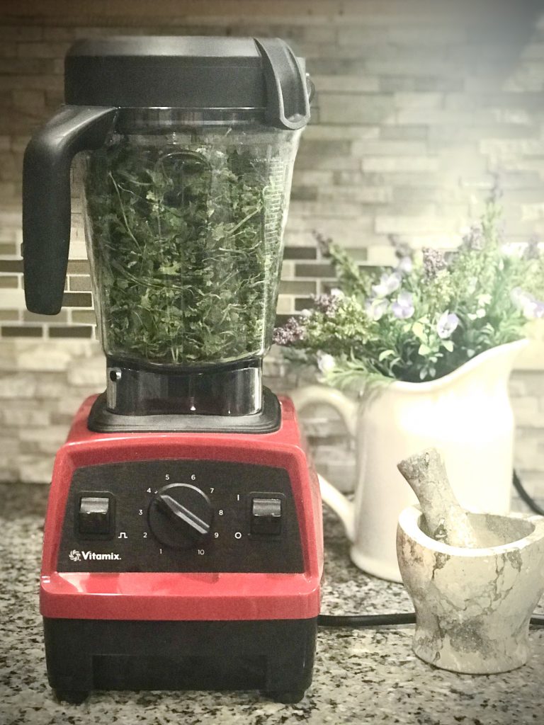 Cilantro in blender How to Harvest, Dry and Cure Cilantro