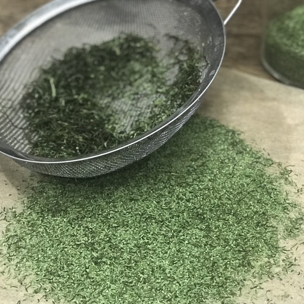 How to Harvest, Dry and Cure Cilantro