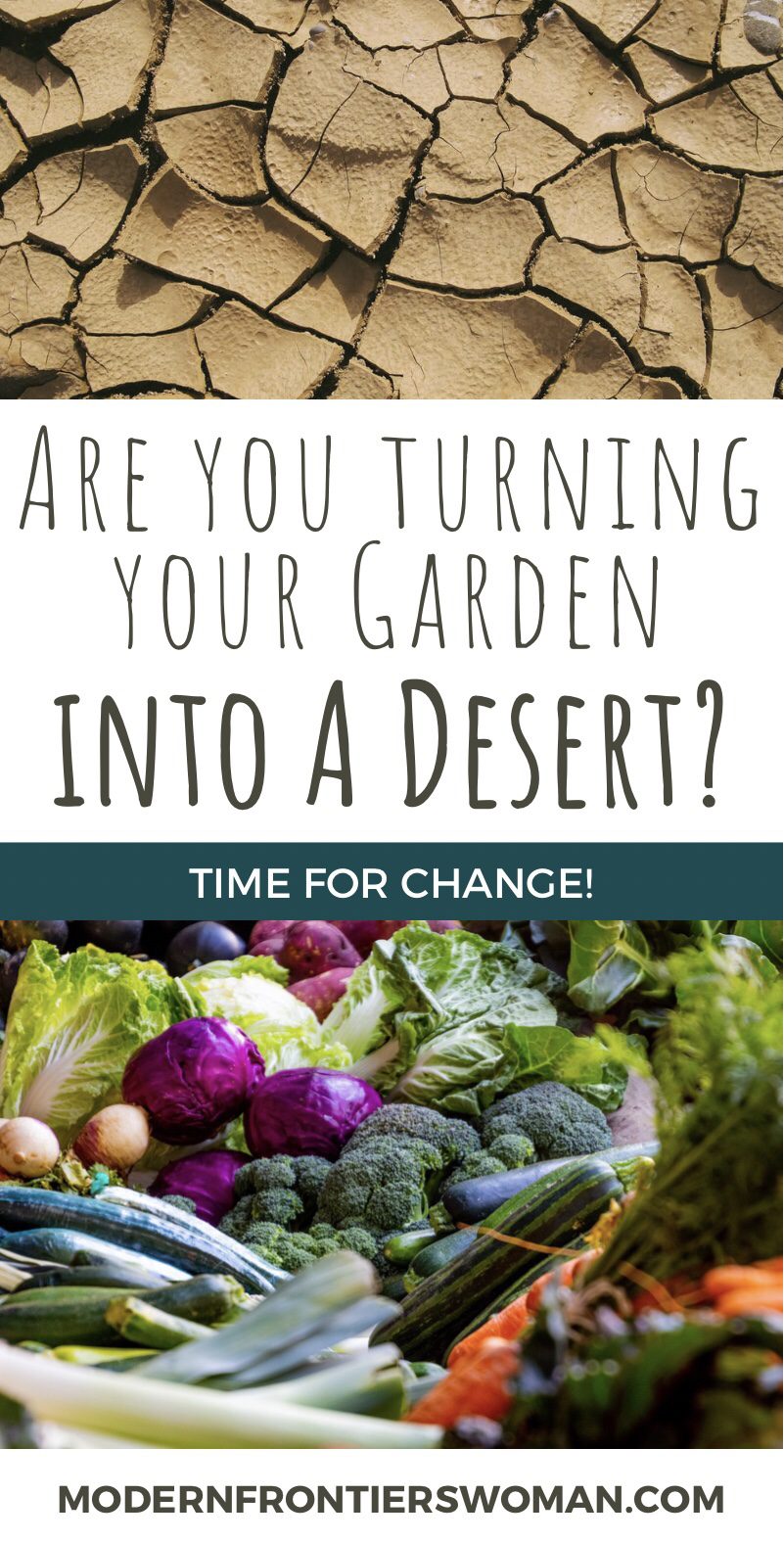 Regenerative Agriculture vs The Bare Soil Dilemma