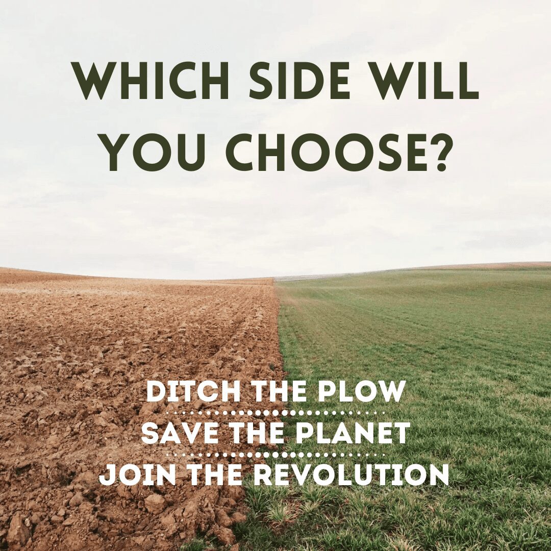 Regenerative Agriculture vs The Bare Soil Dilemma