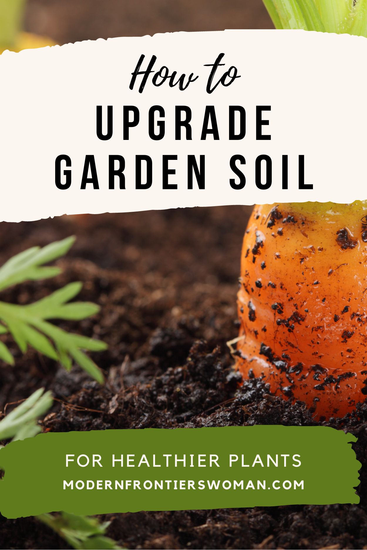 How to Upgrade Garden Soil for Healthier Plants