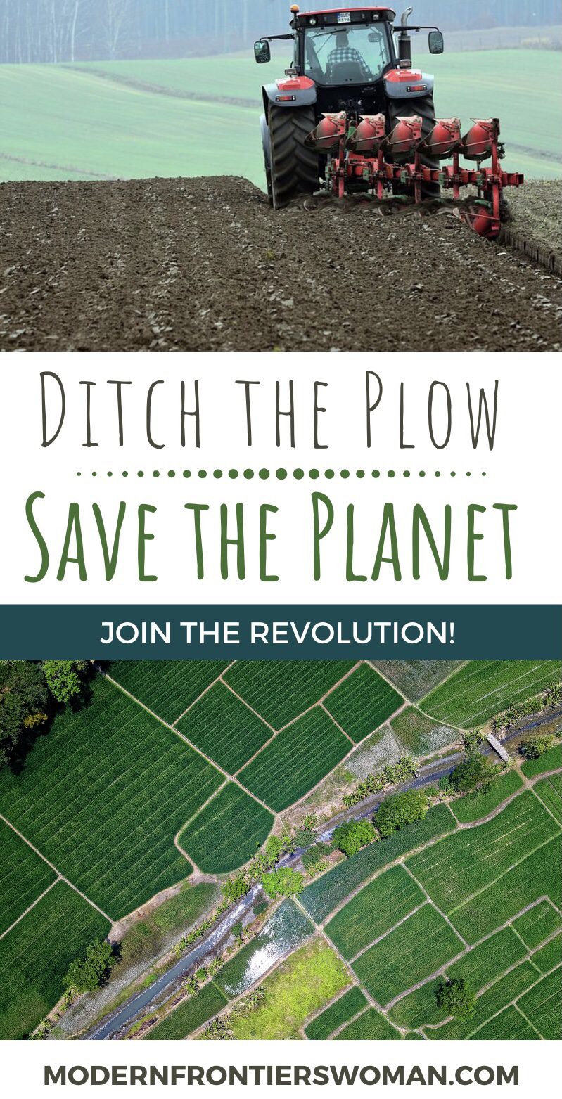 Regenerative Agriculture vs The Bare Soil Dilemma