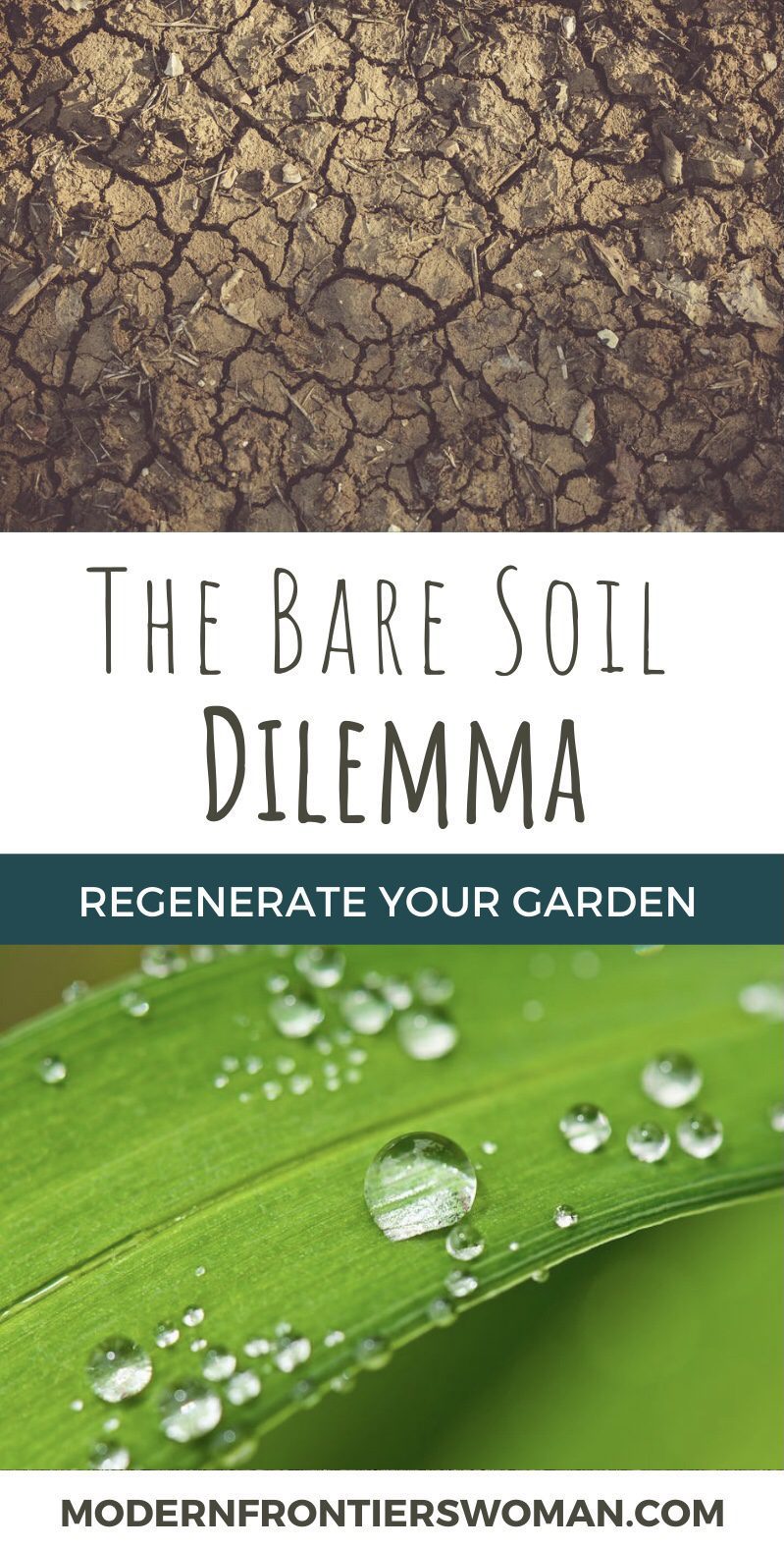 Regenerative Agriculture vs The Bare Soil Dilemma
