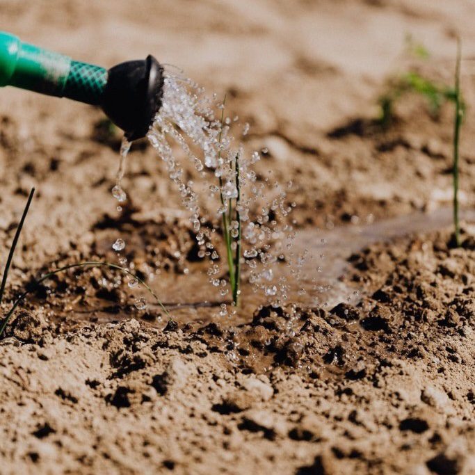 water runoff seedling