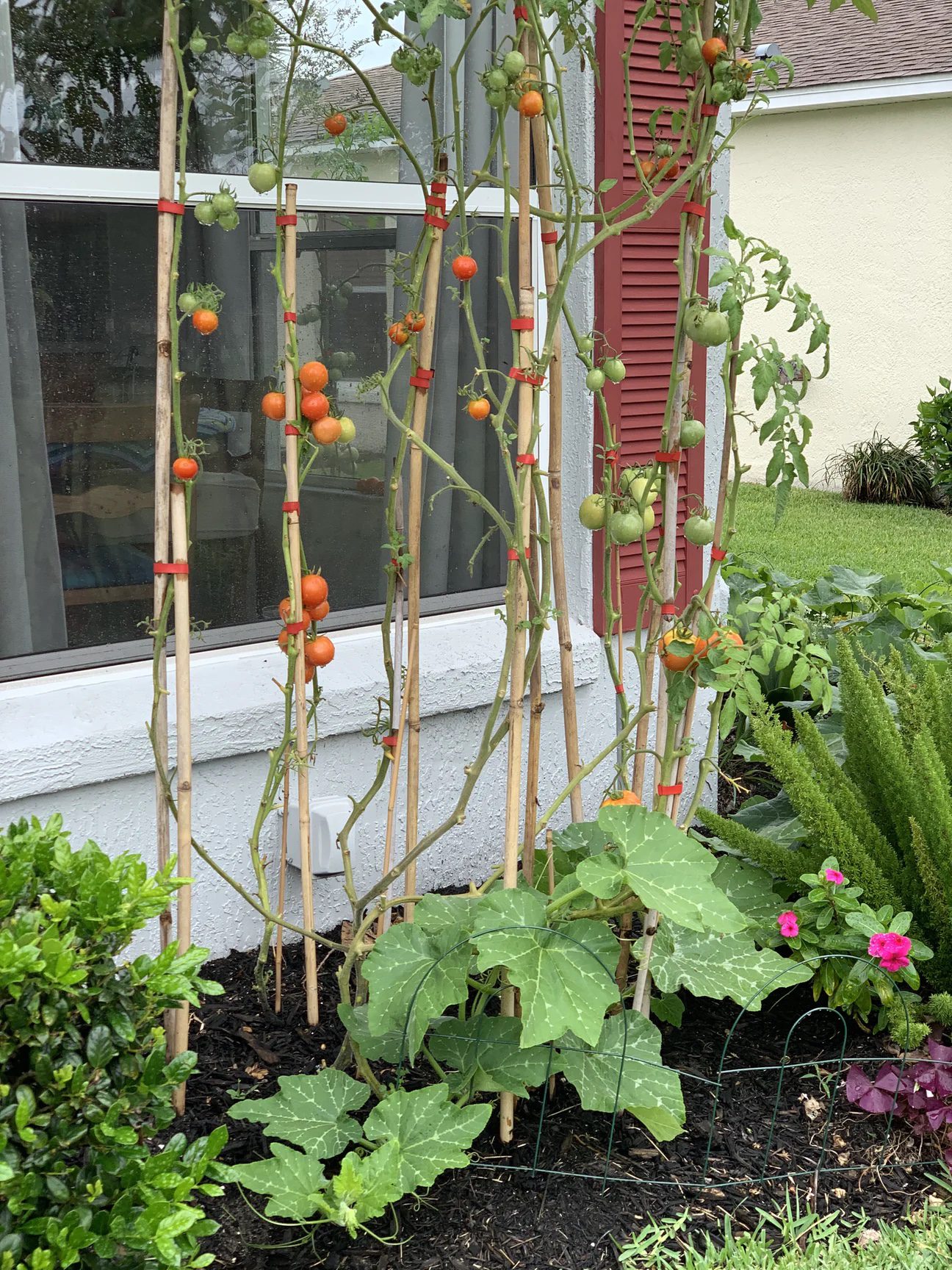 Regenerative Agriculture vs The Bare Soil Dilemma