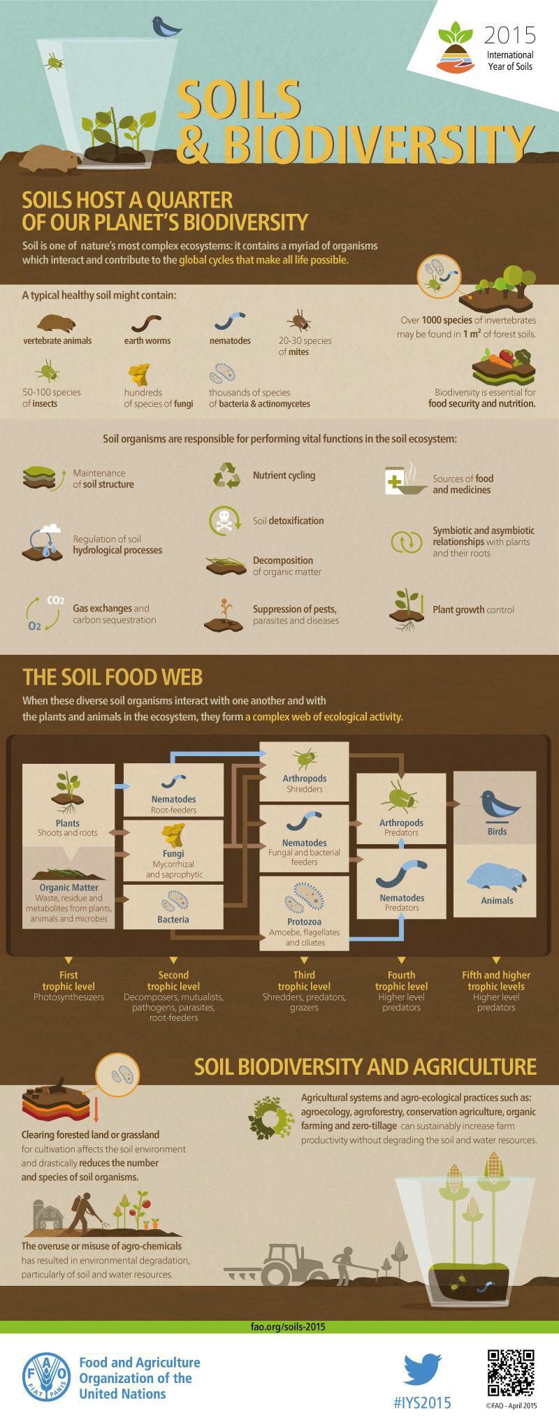 Regenerative Agriculture vs The Bare Soil Dilemma