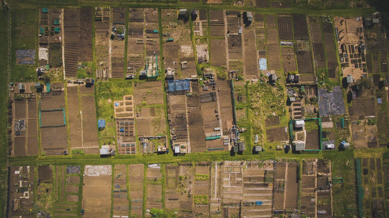 Regenerative Agriculture vs The Bare Soil Dilemma
