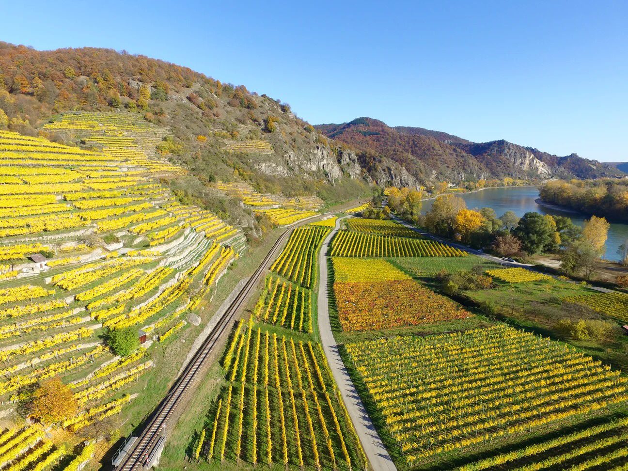 Regenerative Agriculture vs The Bare Soil Dilemma