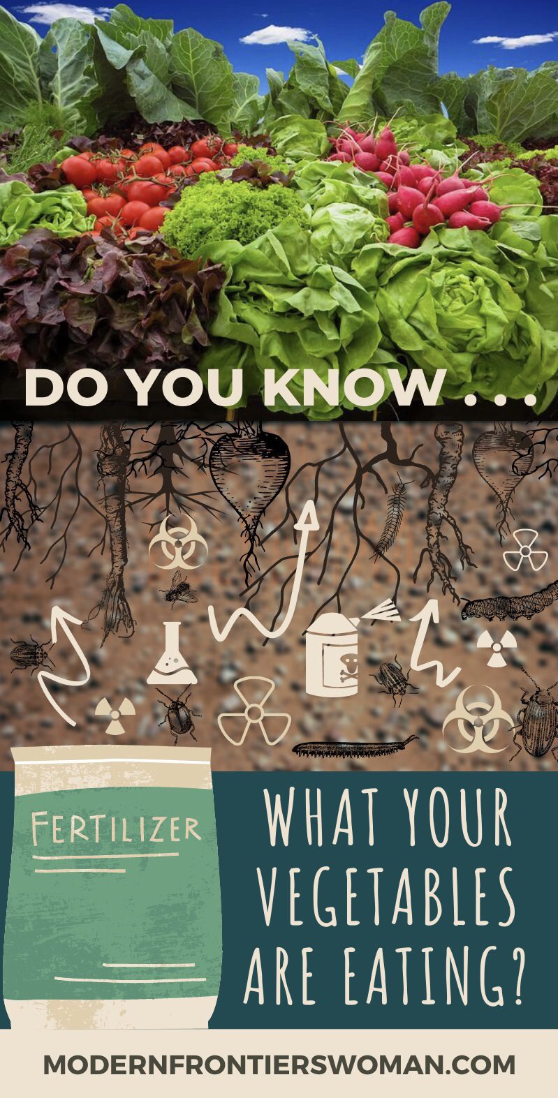 Regenerative Agriculture vs The Bare Soil Dilemma