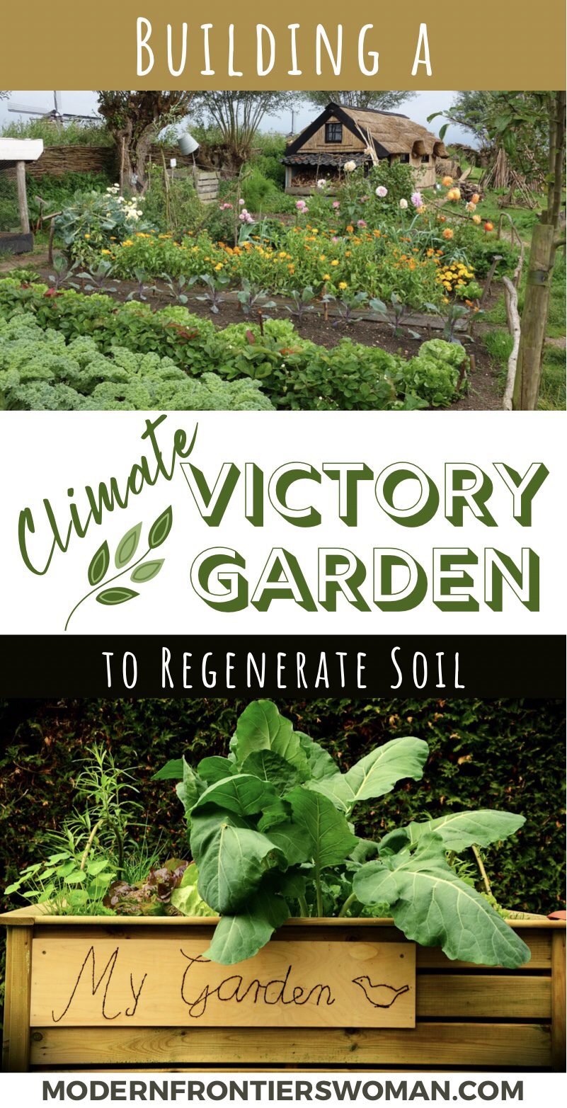 Building a Climate Victory Garden to Regenerate Soil