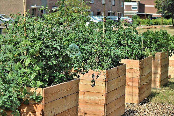 The Comprehensive Guide to Raised Bed Gardening