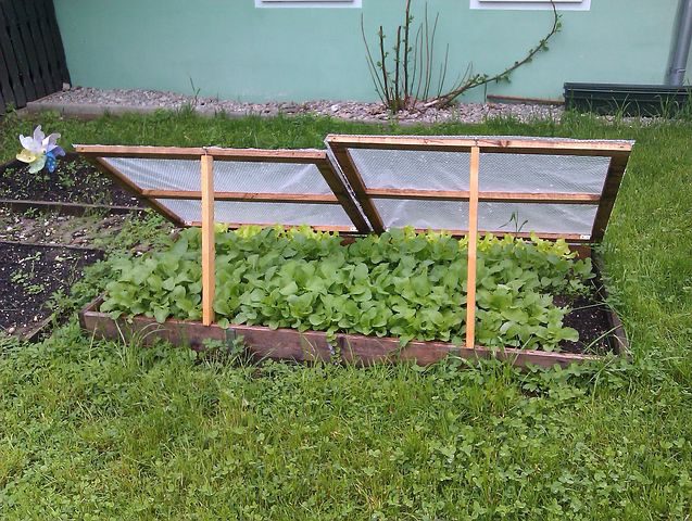 The Comprehensive Guide to Raised Bed Gardening