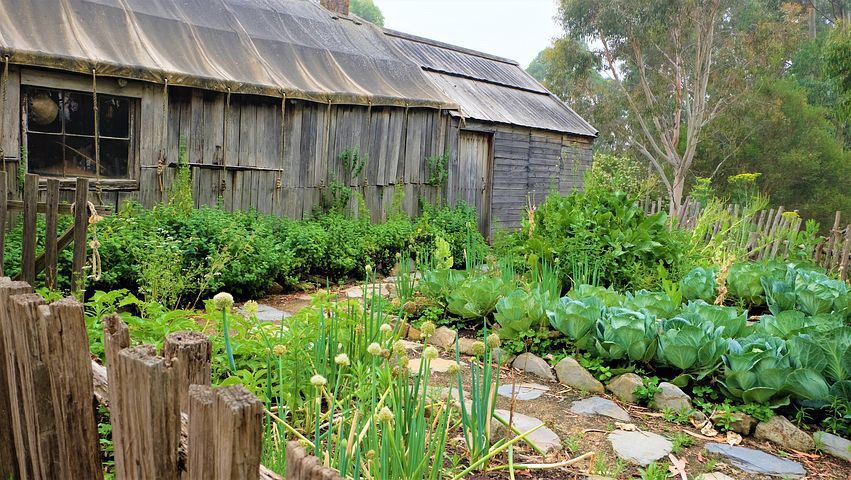 The Comprehensive Guide to Raised Bed Gardening