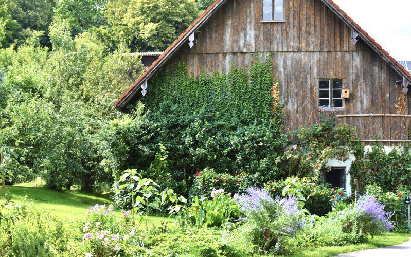 Gardening The Ultimate List of Homesteading Skills!