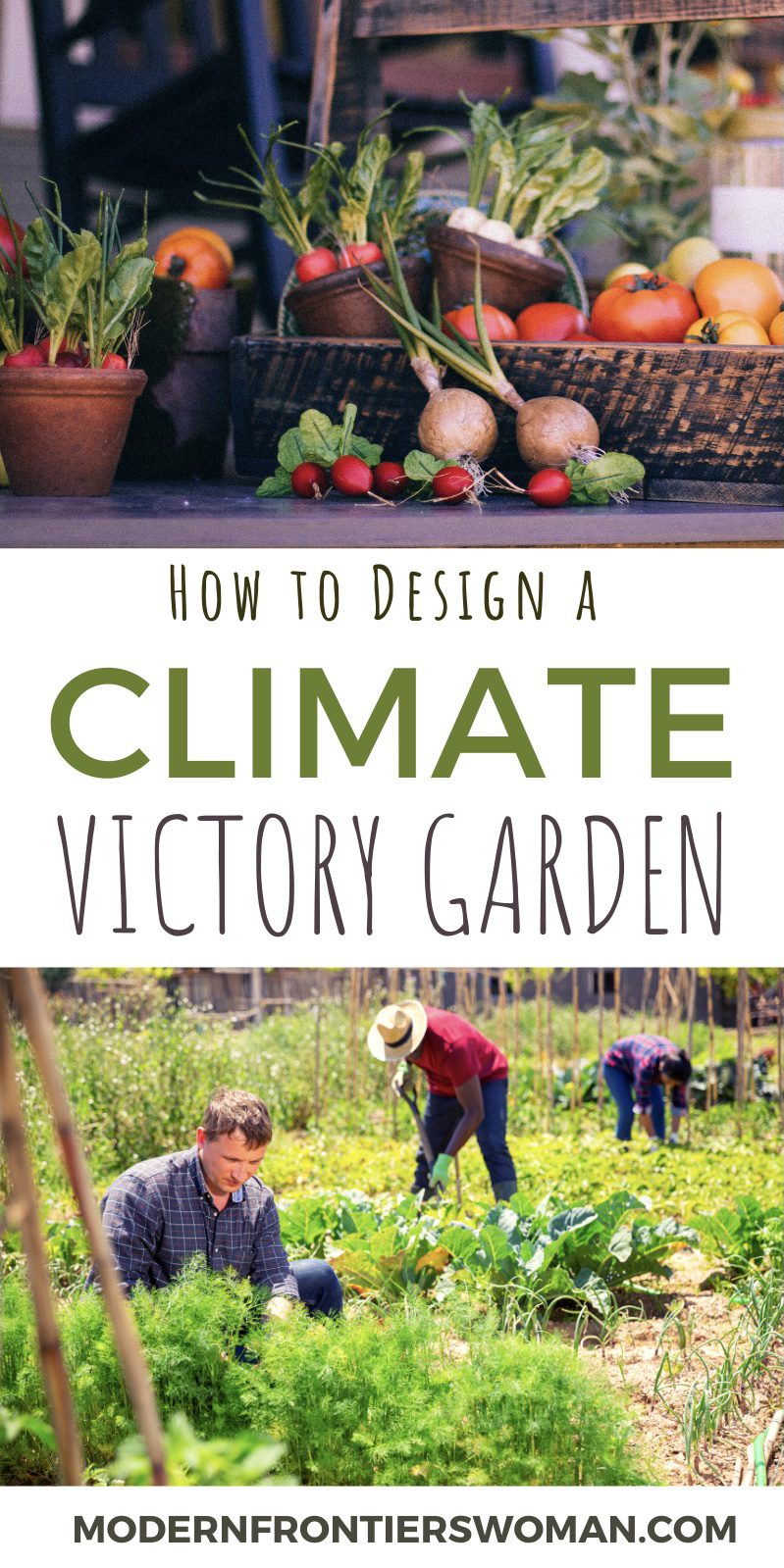 How to Design a Climate Victory Garden