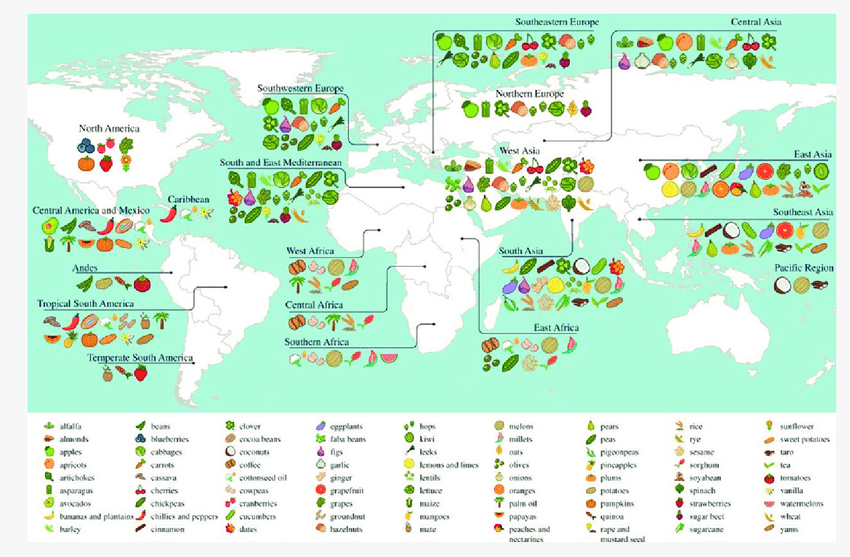 Map of the world with staple crop species