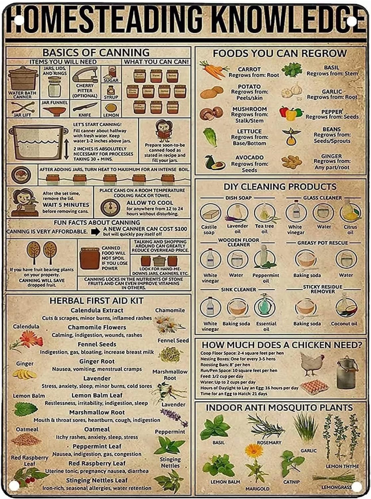 Homesteading Knowledge  The Ultimate List of Homesteading Skills!