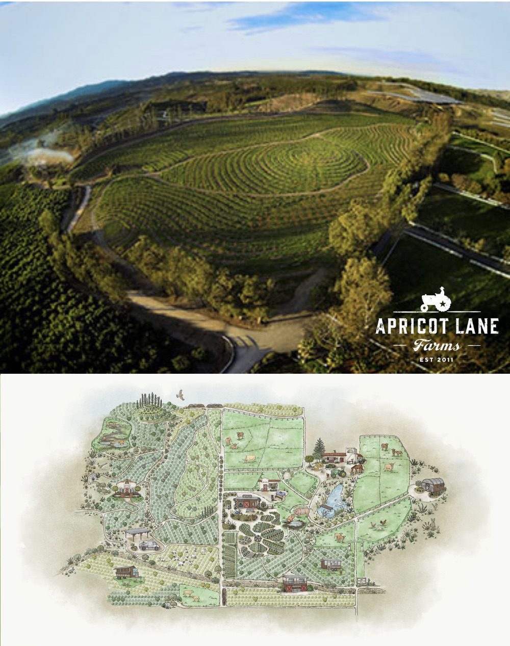 Apricot Lane Farms