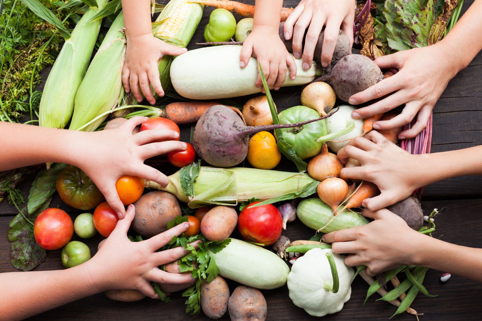 untitled design 1 4 Chaos Gardening for Perpetual Harvests