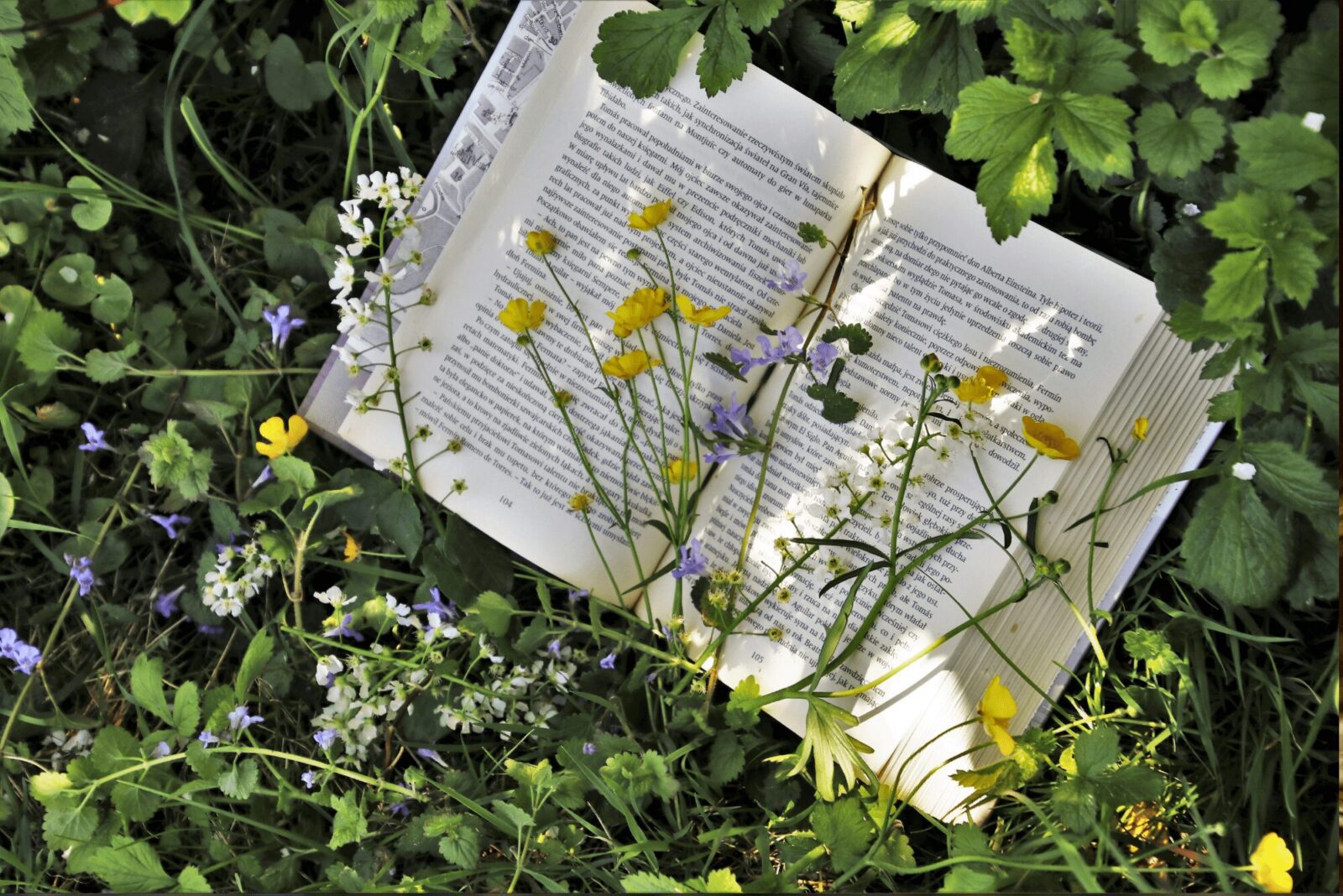 untitled design 16 1 Best Gardening Books: Beginners to Masters