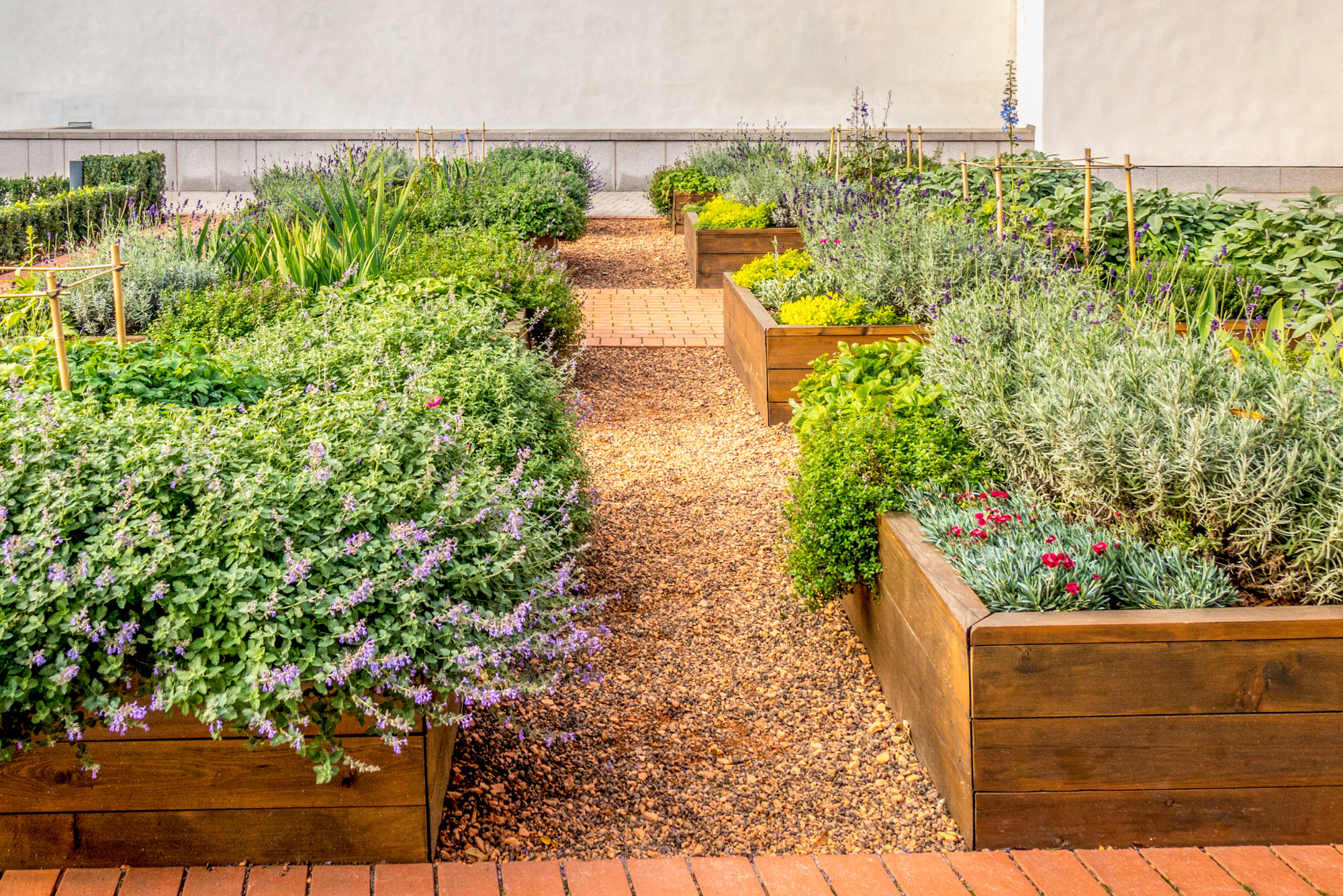 untitled design 25 1 The Comprehensive Guide to Raised Bed Gardening