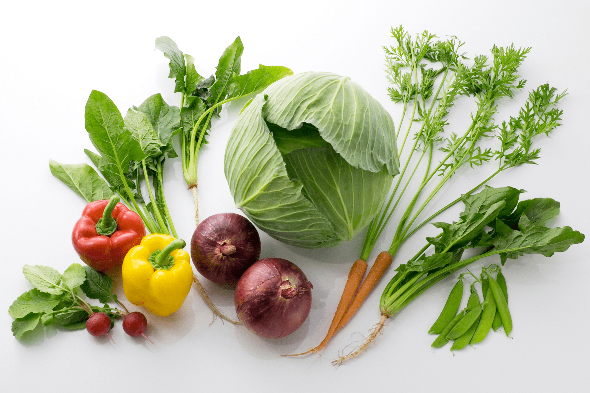 untitled design 4 1 1 Plant Friend or Foe: Companion Planting in the Vegetable Garden