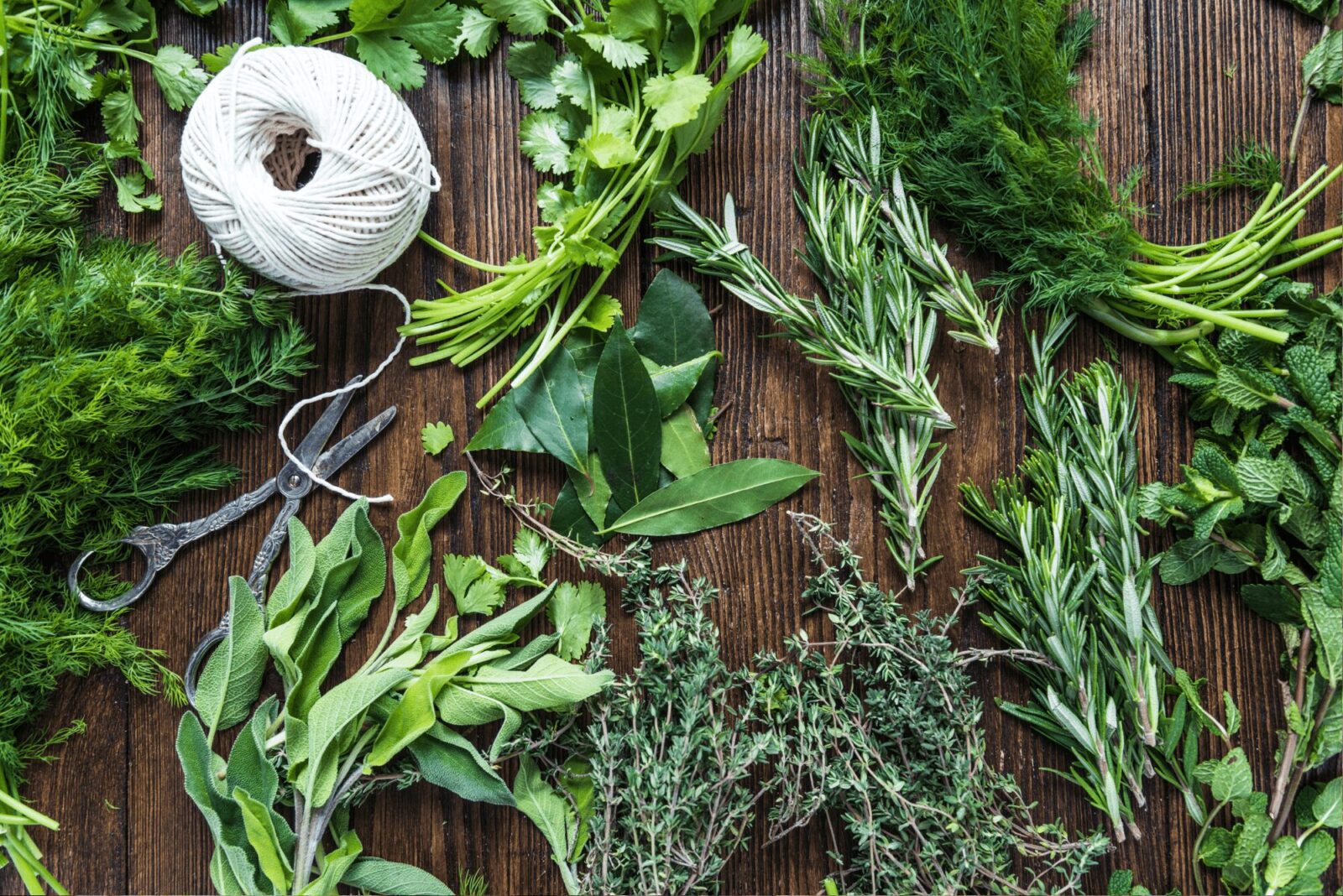 untitled design 5 1 The Ultimate Guide to Planting an Herb Garden