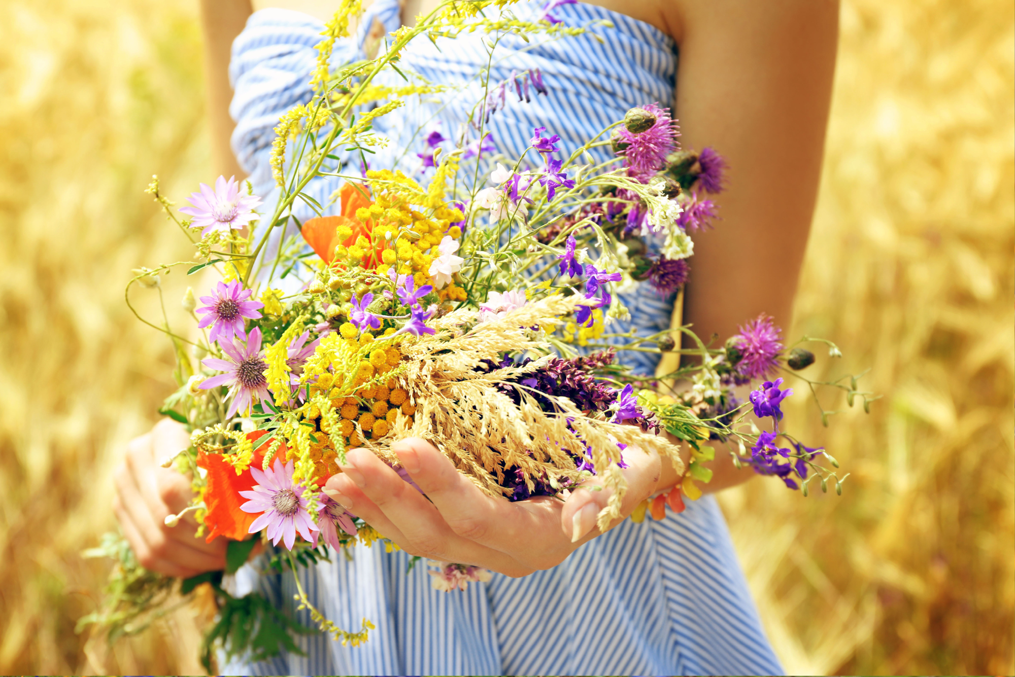 untitled design 58 1 Wildflower Cottage Garden Design