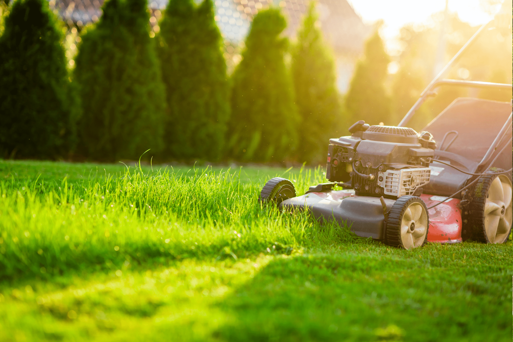 free peintable 1 1 The Ultimate Lawn Mower Buying Guide for Every Garden Size