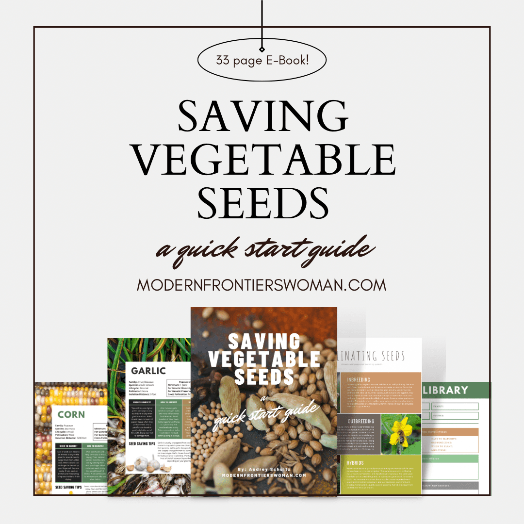 Saving Vegetable Seeds Ebook