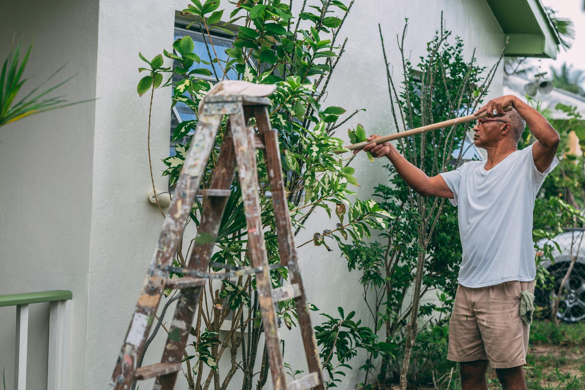 man painting a house garden renovations