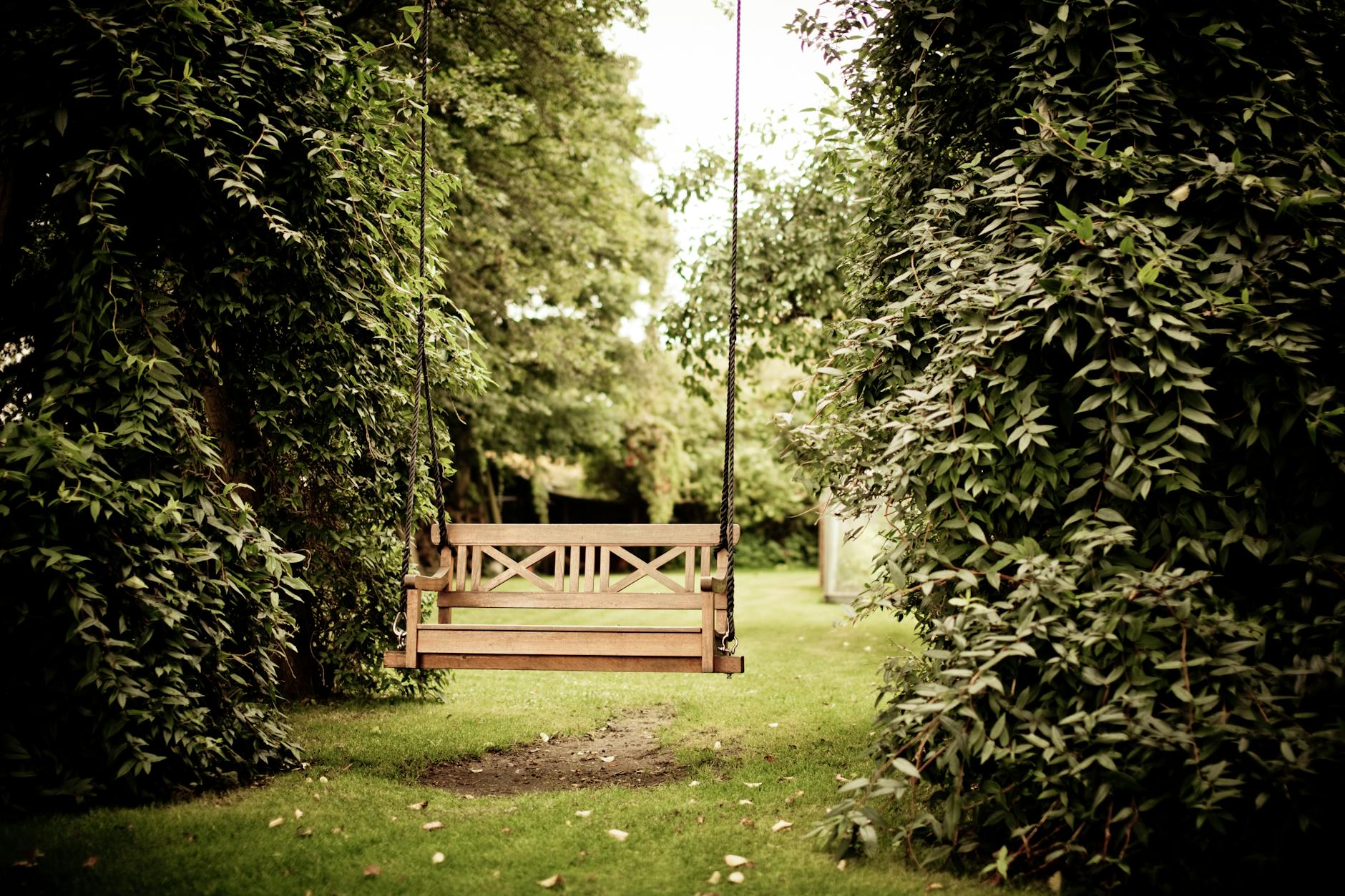 gazebo against trees how to avoid problems in the garden
