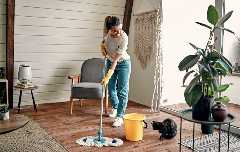 How to Combat Pollen and Indoor Allergies 9 How to Combat Indoor Allergies and Pollen this Spring