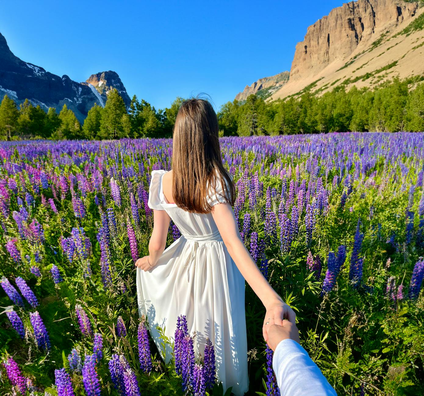 woman in white dress holding hands with man on lavender field Romantic Getaway Ideas to Rekindle Your Love